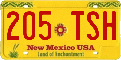 NM license plate 205TSH