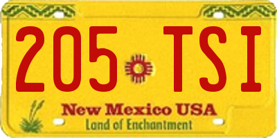 NM license plate 205TSI