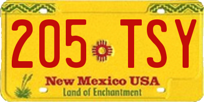 NM license plate 205TSY