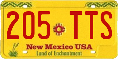 NM license plate 205TTS