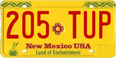 NM license plate 205TUP