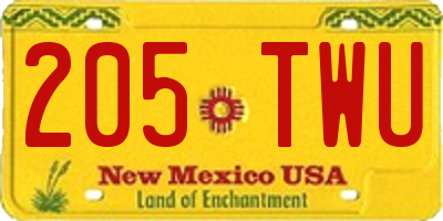 NM license plate 205TWU