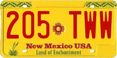 NM license plate 205TWW