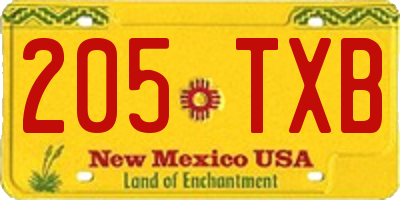 NM license plate 205TXB