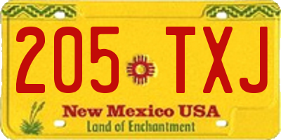 NM license plate 205TXJ