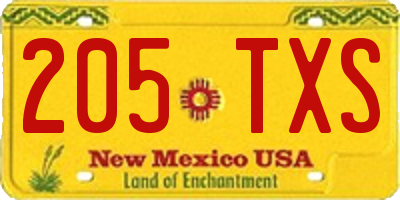 NM license plate 205TXS