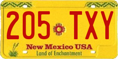 NM license plate 205TXY