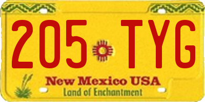 NM license plate 205TYG