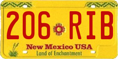 NM license plate 206RIB