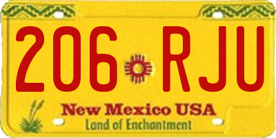 NM license plate 206RJU