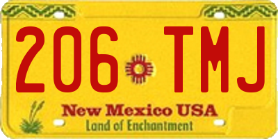 NM license plate 206TMJ