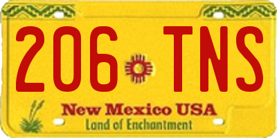 NM license plate 206TNS