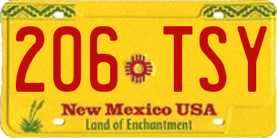 NM license plate 206TSY