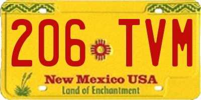 NM license plate 206TVM