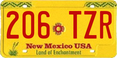 NM license plate 206TZR