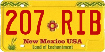 NM license plate 207RIB
