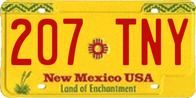 NM license plate 207TNY
