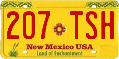 NM license plate 207TSH
