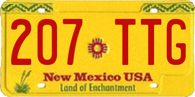NM license plate 207TTG
