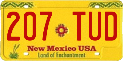 NM license plate 207TUD