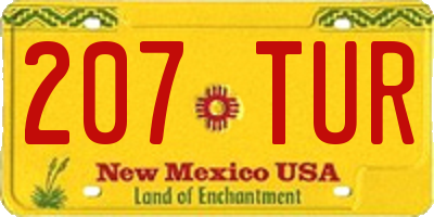 NM license plate 207TUR