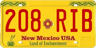 NM license plate 208RIB