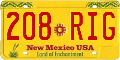 NM license plate 208RIG