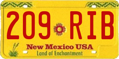 NM license plate 209RIB
