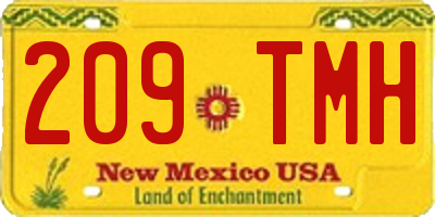 NM license plate 209TMH