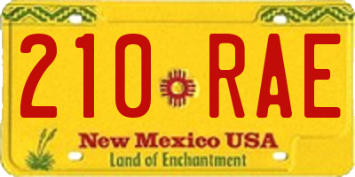 NM license plate 210RAE