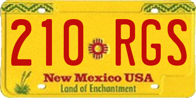 NM license plate 210RGS