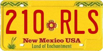 NM license plate 210RLS