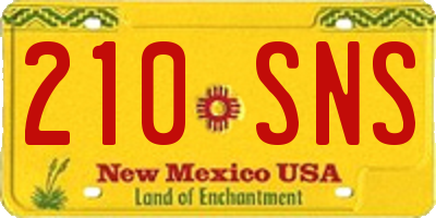 NM license plate 210SNS