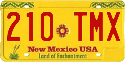 NM license plate 210TMX