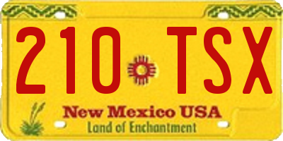 NM license plate 210TSX