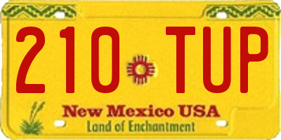 NM license plate 210TUP