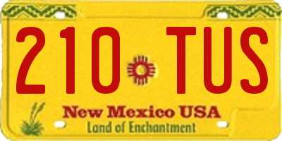 NM license plate 210TUS