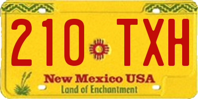 NM license plate 210TXH