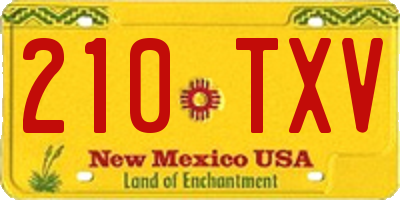 NM license plate 210TXV