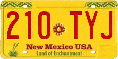 NM license plate 210TYJ