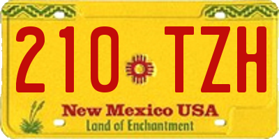 NM license plate 210TZH