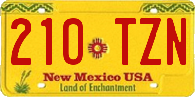 NM license plate 210TZN