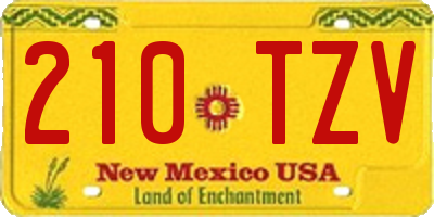 NM license plate 210TZV