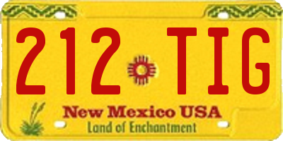 NM license plate 212TIG