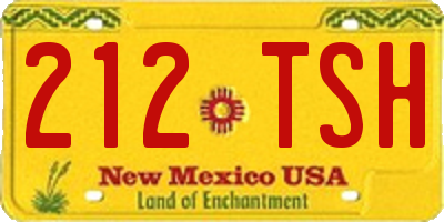 NM license plate 212TSH