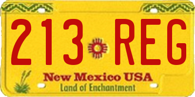NM license plate 213REG