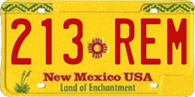 NM license plate 213REM