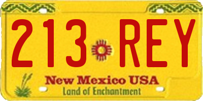 NM license plate 213REY