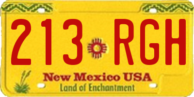 NM license plate 213RGH