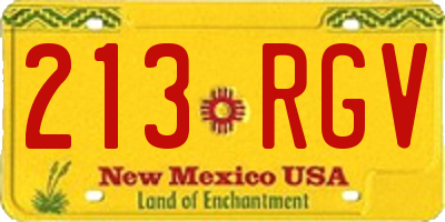 NM license plate 213RGV